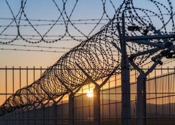 Заключенные создали ОПГ и вымогали деньги в области Абай