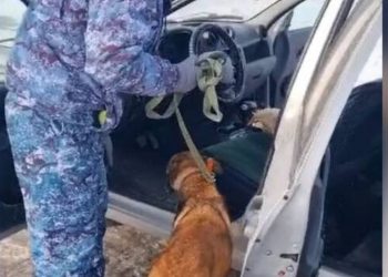 Сбытчика наркотиков осудили на пять лет  в ВКО